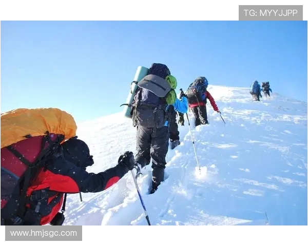 重庆极限运动队的精神探索与团队意识的深度剖析