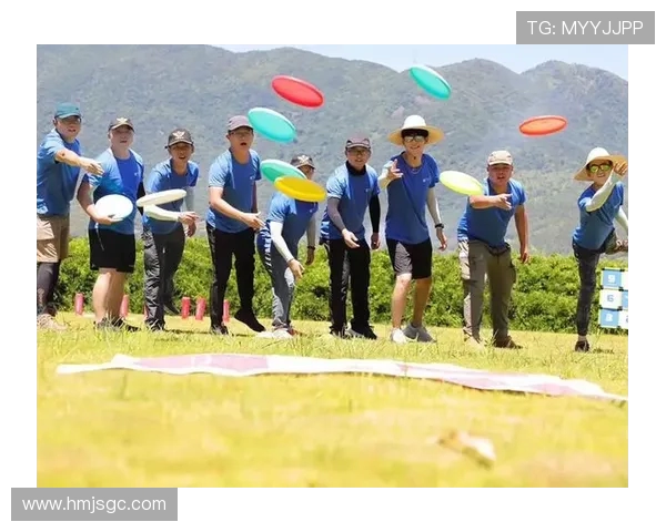 飞盘盛宴：深入武汉飞盘队的战术与技巧探讨